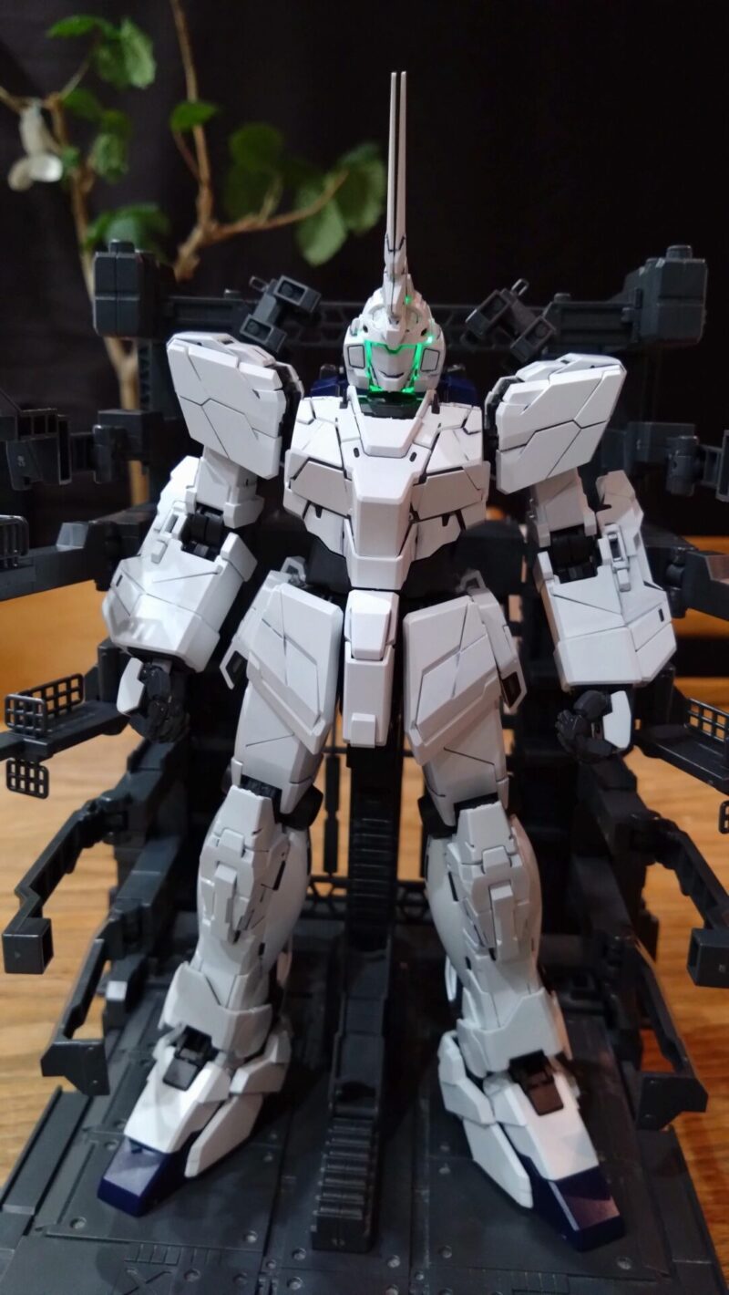 頭部の発光ループ